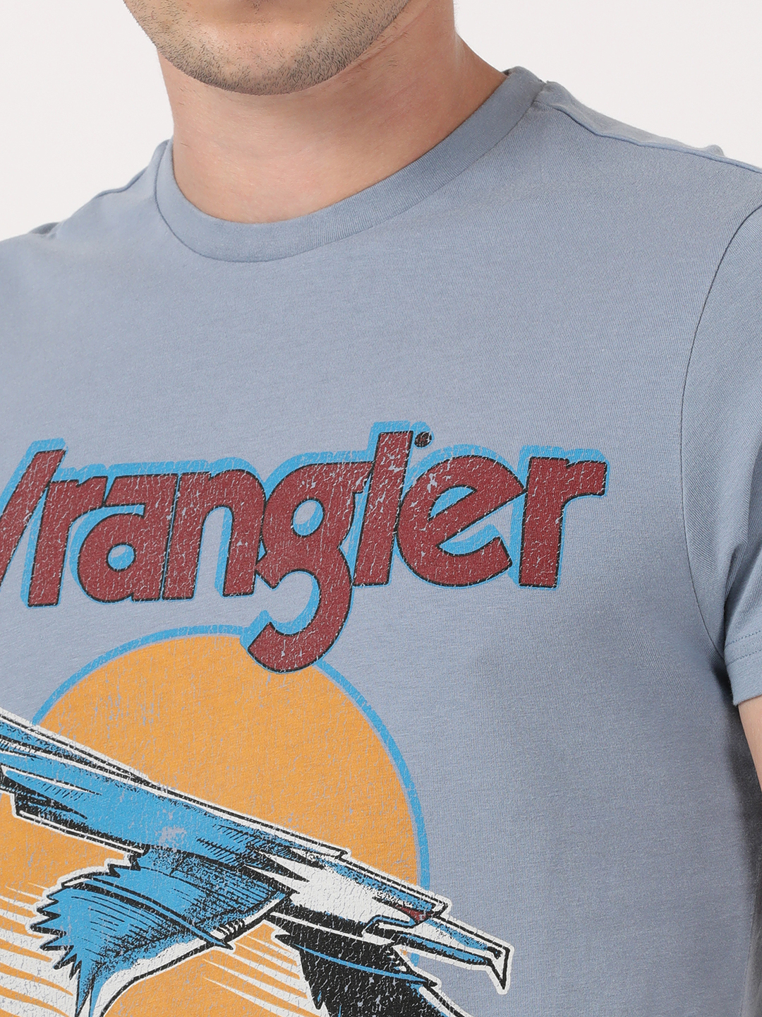 Buy Men Printed Blue Crew Neck Regular Fit Tshirt | Wrangler